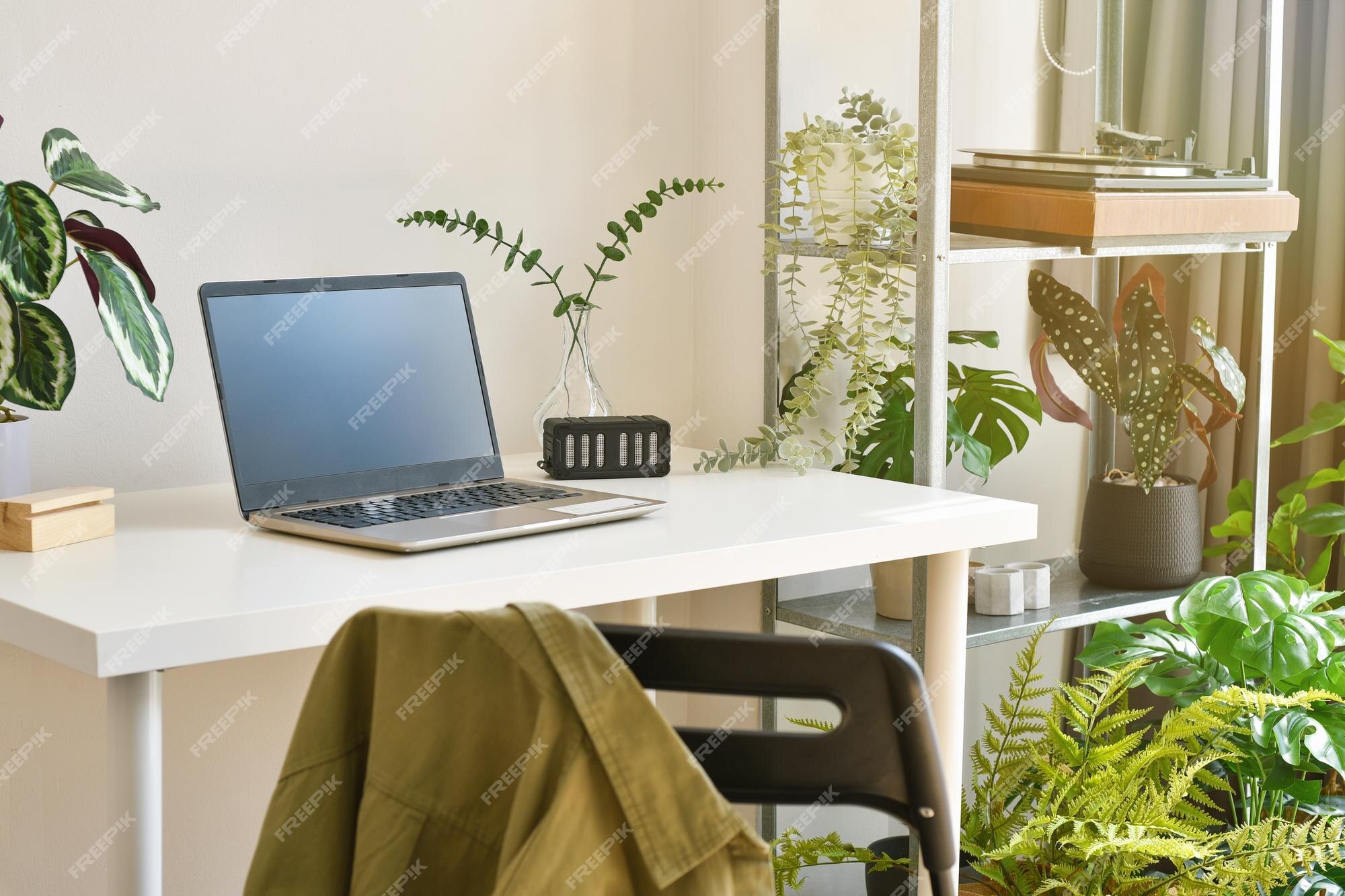 Premium Photo | Home office decorate with green nature tree plants ...