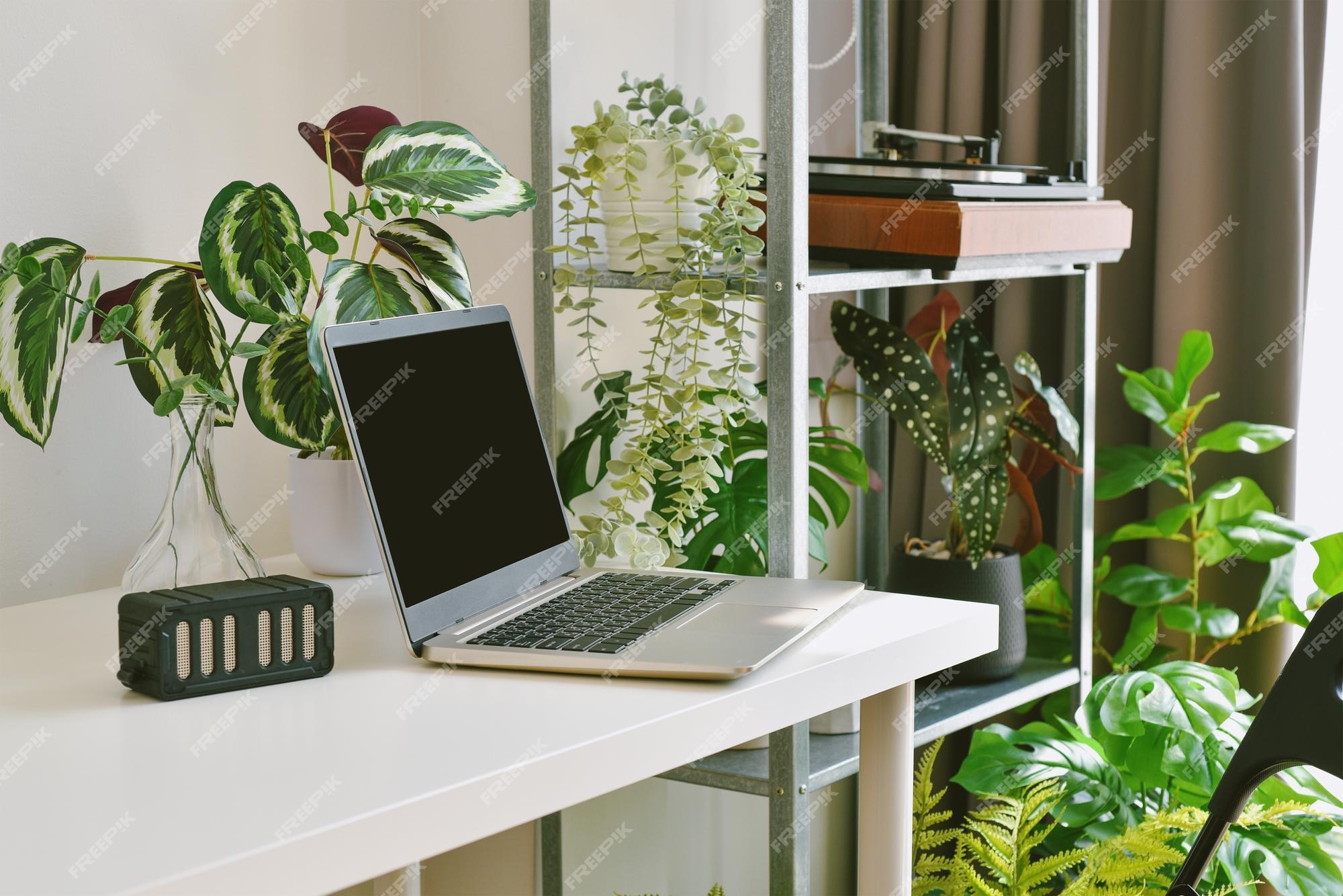 Premium Photo | Home office decorate with green nature tree plants ...