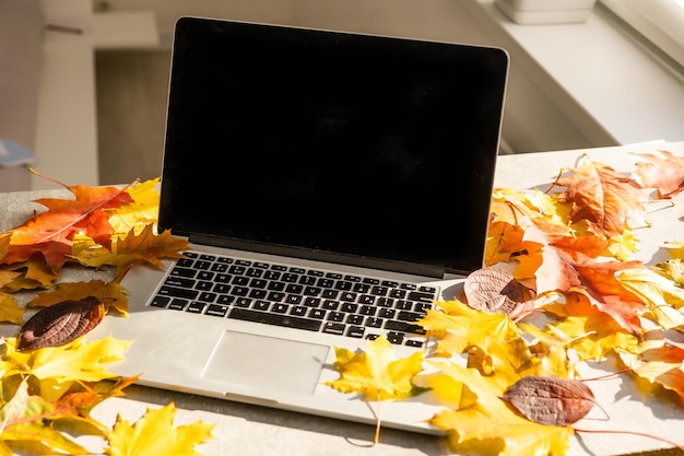 Scrivania da ufficio a casa con laptop, foglie di autunno su sfondo bianco. elegante scrivania da ufficio a casa piatta con laptop. concetto di autunno o inverno. vista dall'alto di un'accogliente scrivania da ufficio.