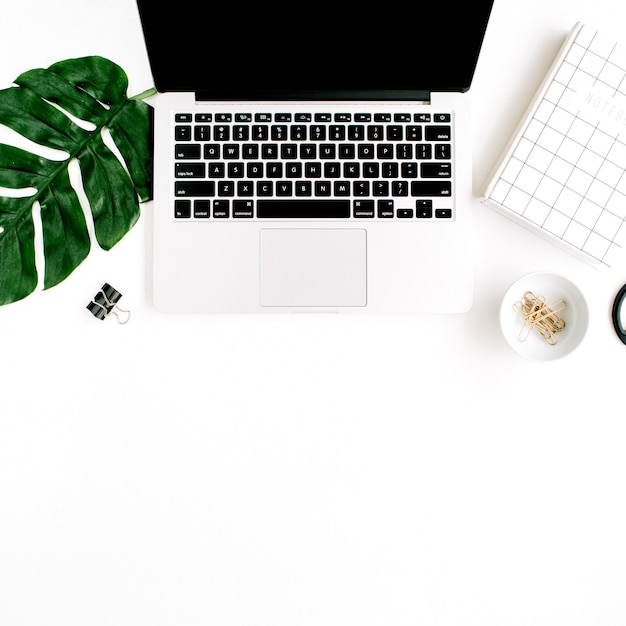 Home office workspace with laptop and palm leaf