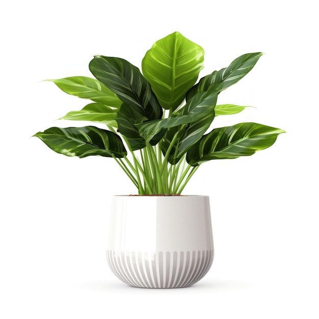 Home plant in flower pot isolated Illustration AI GenerativexA