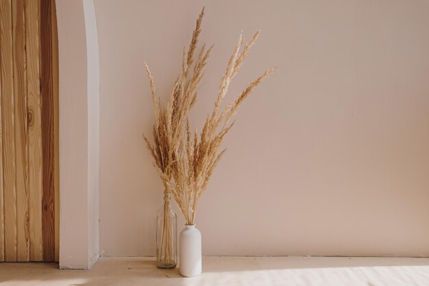 Home plant pampas grass in bottle Aesthetic minimal modern Scandinavian interior design decoration