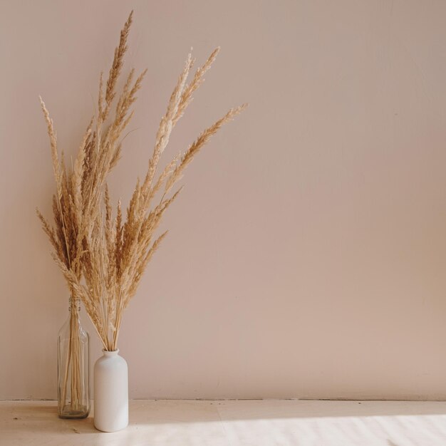 병에 든 가정 식물 팜파스 잔디 미적 최소 현대 스칸디나비아 인테리어 디자인 장식
