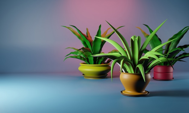 Photo home plants in colored pots on a bright background. place for your text. 3d illustration