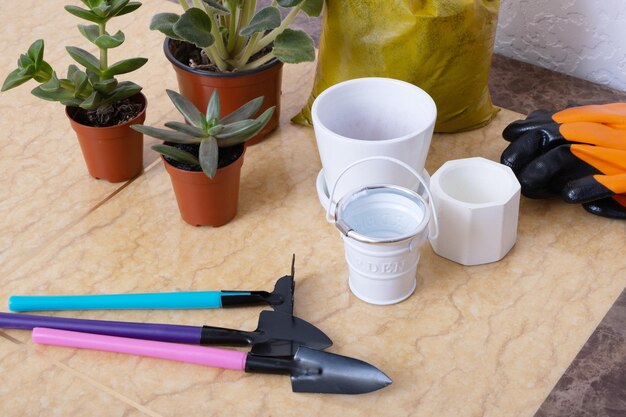 Photo home plants and gardening tools with gloves pots and soil on marble table