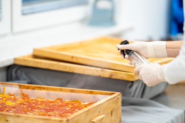 Produzione casalinga di sapone biologico per la cura del corpo