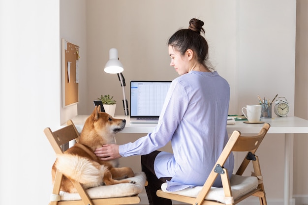 Foto lavoro a domicilio durante la quarantena. pandemia di coronavirus. home office sul posto di lavoro con una donna e un simpatico cane shiba inu