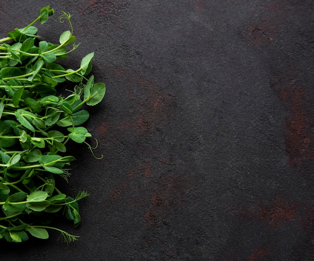 Photo homegrown pea shoots on a black concrete surface