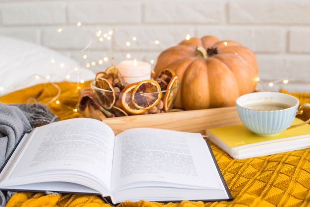 Homely cozy rest on an autumn day off - reading among blankets 