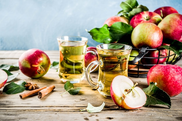 Homemade apple cider with cinnamon and anise spices, with fresh apples 