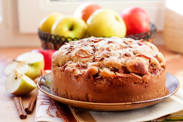 Torta di mele fatta in casa con cannella sul piatto