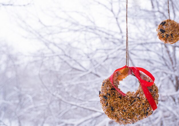 Homemade bird feeder in winter from seeds on apples and pumpkins