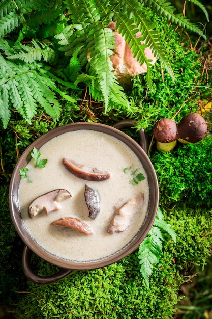 Homemade boletus cream made of noble mushrooms