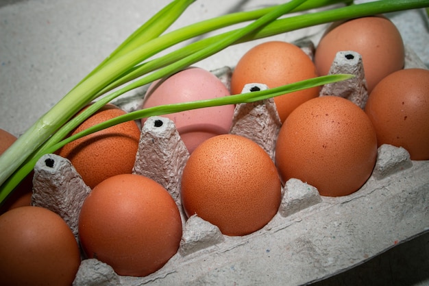 Homemade brown chicken eggs in an eco-friendly carton