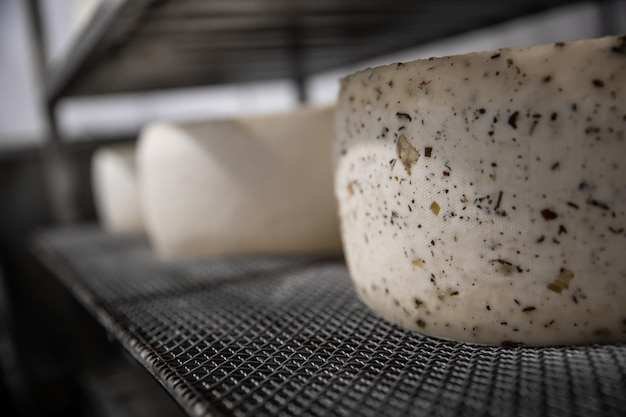 Foto un produttore di formaggio fatto in casa produce mozzarella fatta a mano con latte fresco di qualità dalle sue mucche pecore al mattino concetto di tradizione mozzarella italiana