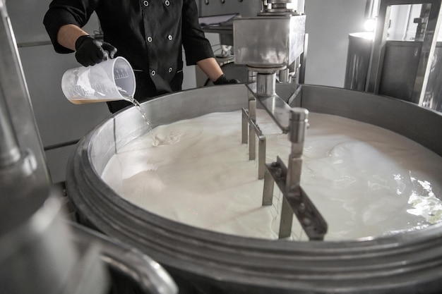 A homemade cheese producer produces handmade mozzarella with fresh quality milk from her cows sheep in the morning Concept of tradition italy mozzarella