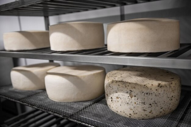 Foto un produttore di formaggio fatto in casa produce mozzarella fatta a mano con latte fresco di qualità dalle sue mucche pecore al mattino concetto di tradizione mozzarella italiana