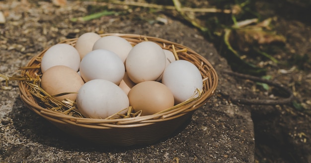 Homemade chicken eggs in a basket