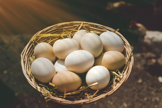 Homemade chicken eggs in a basket