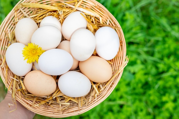 Homemade chicken eggs in a basket