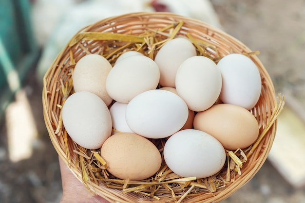 Homemade chicken eggs in a basket