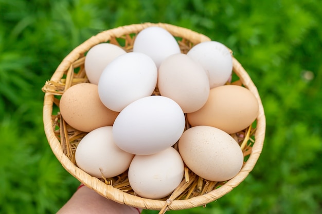 Homemade chicken eggs in a basket