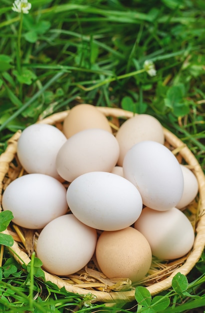 Photo homemade chicken eggs in a basket