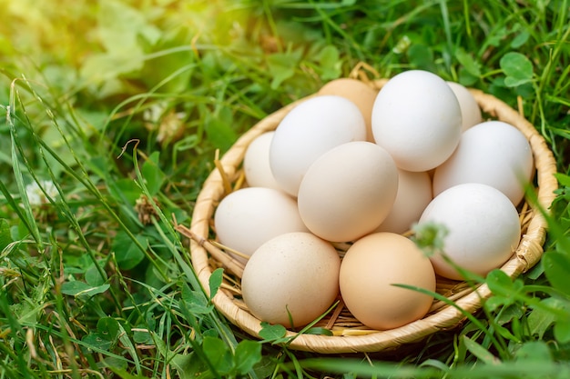 Homemade chicken eggs in a basket