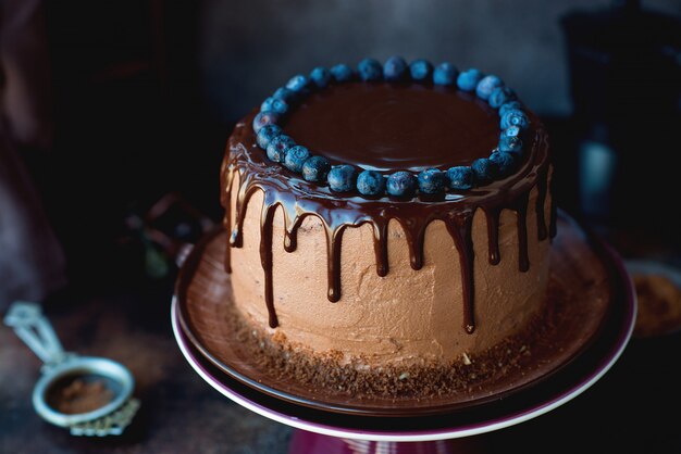 Homemade chocolate cake decorated with berries