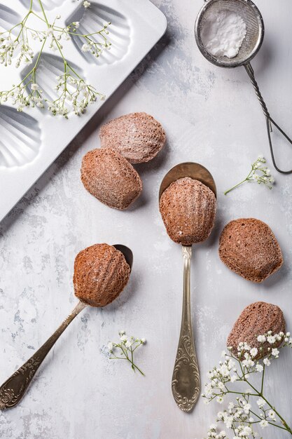 Homemade chocolate cookies Madeleine