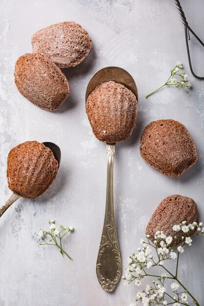 Biscotti fatti in casa al cioccolato madeleine