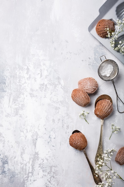 Biscotti fatti in casa al cioccolato madeleine