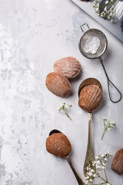 Homemade chocolate cookies Madeleine