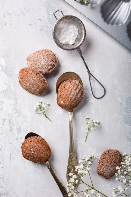 Homemade chocolate cookies Madeleine