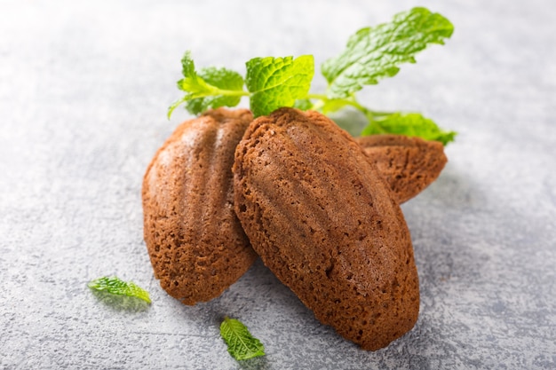 Homemade chocolate cookies Madeleine