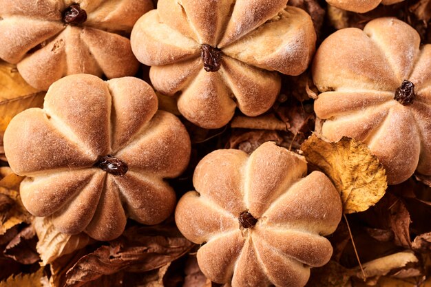 Homemade cookies in shape of pumpkin in autumn leaves. 