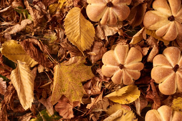 Homemade cookies in shape of pumpkin in autumn leaves