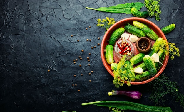 Homemade cucumber pickling and ingredients,copy space