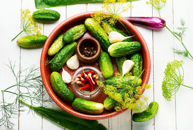 Homemade cucumber pickling and ingredients