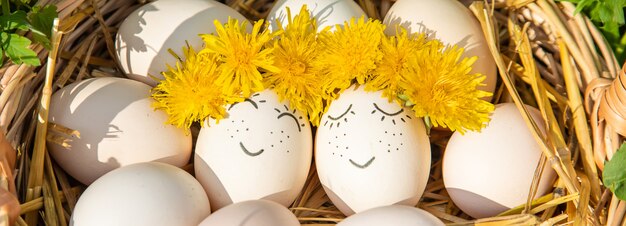 Homemade eggs with beautiful faces and a smile. 