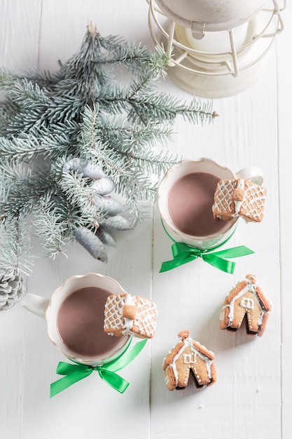 Homemade gingerbread cottages with tasty cocoa as Christmas snack