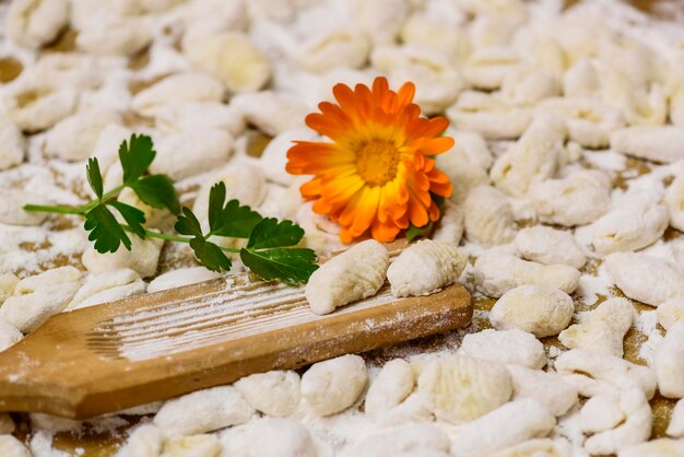 Homemade gnocchi prepared on the table with ingredients