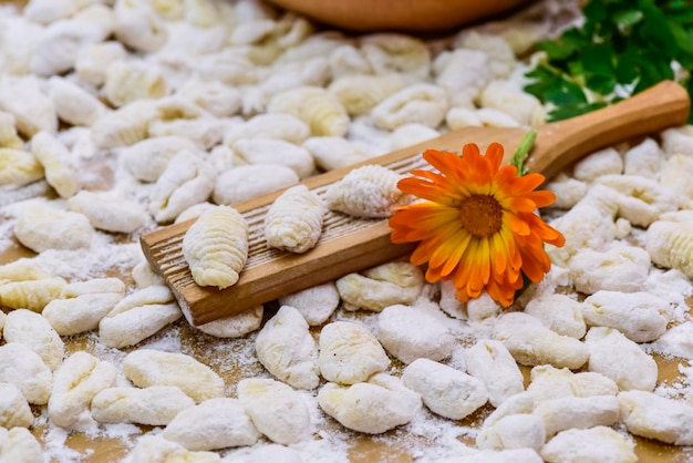 Homemade gnocchi prepared on the table with ingredients