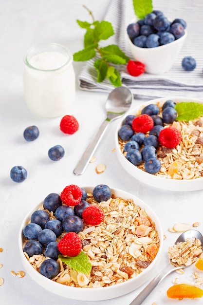 Homemade granola or oatmeal muesli with nuts, dried fruits and fresh berries.