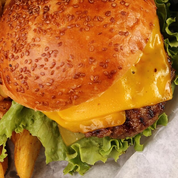 Homemade hamburger with fresh vegetables