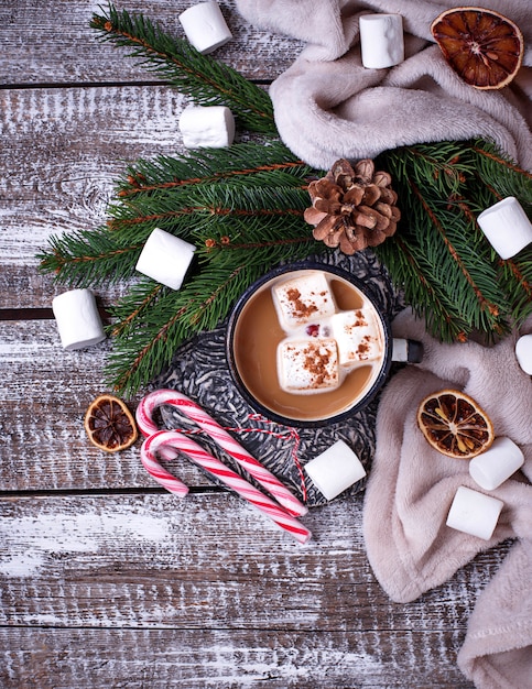 Homemade hot chocolate or cocoa drink