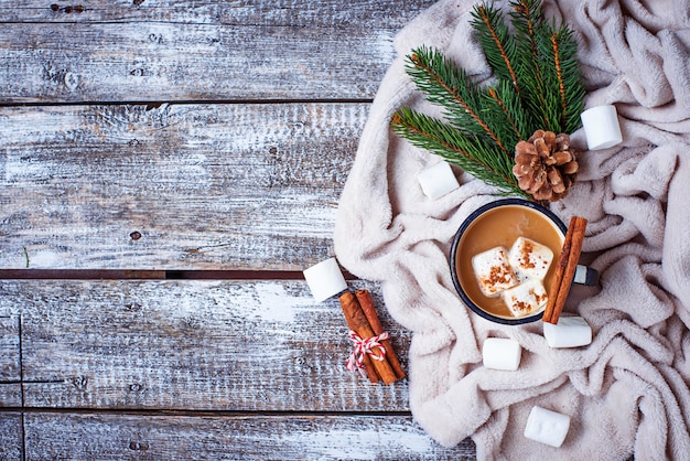 Homemade hot chocolate or cocoa drink