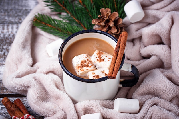 Homemade hot chocolate or cocoa drink