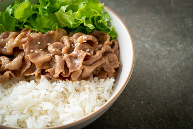 Homemade Japanese Pork Donburi Rice Bowl