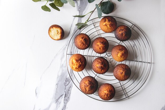 Homemade lemon muffins